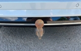 vehicle image #30