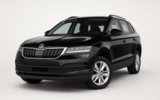 vehicle image #1