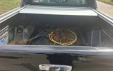 vehicle image #10