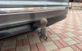 vehicle image #24