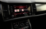 vehicle image #16