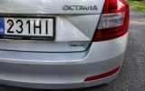 vehicle image #10