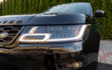 vehicle image #10