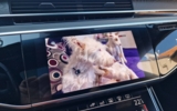 vehicle image #79
