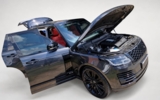 vehicle image #18