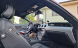 vehicle image #45