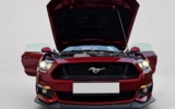 vehicle image #19