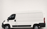 vehicle image #11