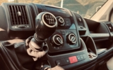 vehicle image #32