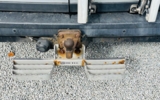 vehicle image #5