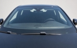 vehicle image #11
