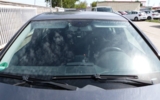 vehicle image #14