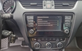 vehicle image #13