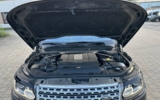 vehicle image #45