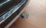 vehicle image #14