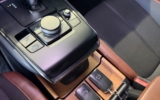 vehicle image #17