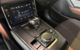 vehicle image #19