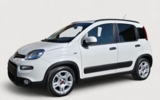 vehicle image #12