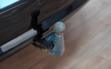 vehicle image #22