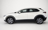 vehicle image #5