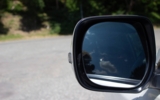 vehicle image #19