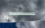 vehicle image #48