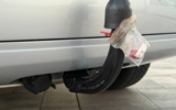 vehicle image #53