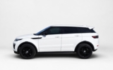 vehicle image #12