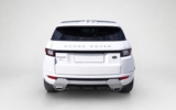 vehicle image #8