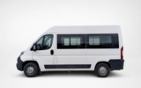 vehicle image #12