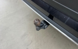 vehicle image #11