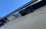 vehicle image #9