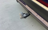 vehicle image #12
