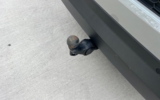 vehicle image #12