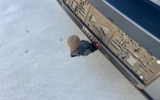 vehicle image #11