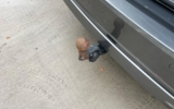 vehicle image #11