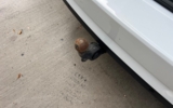 vehicle image #12