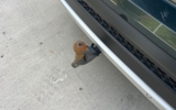 vehicle image #12