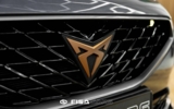 vehicle image #10