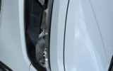 vehicle image #9