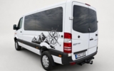vehicle image #12