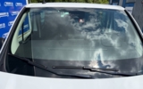 vehicle image #8