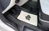 vehicle image #18