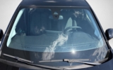 vehicle image #7