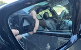 vehicle image #24