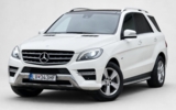 vehicle image #1