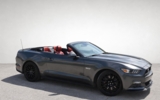 vehicle image #29