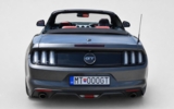 vehicle image #25