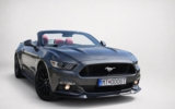 vehicle image #4