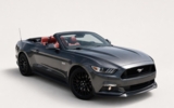 vehicle image #28
